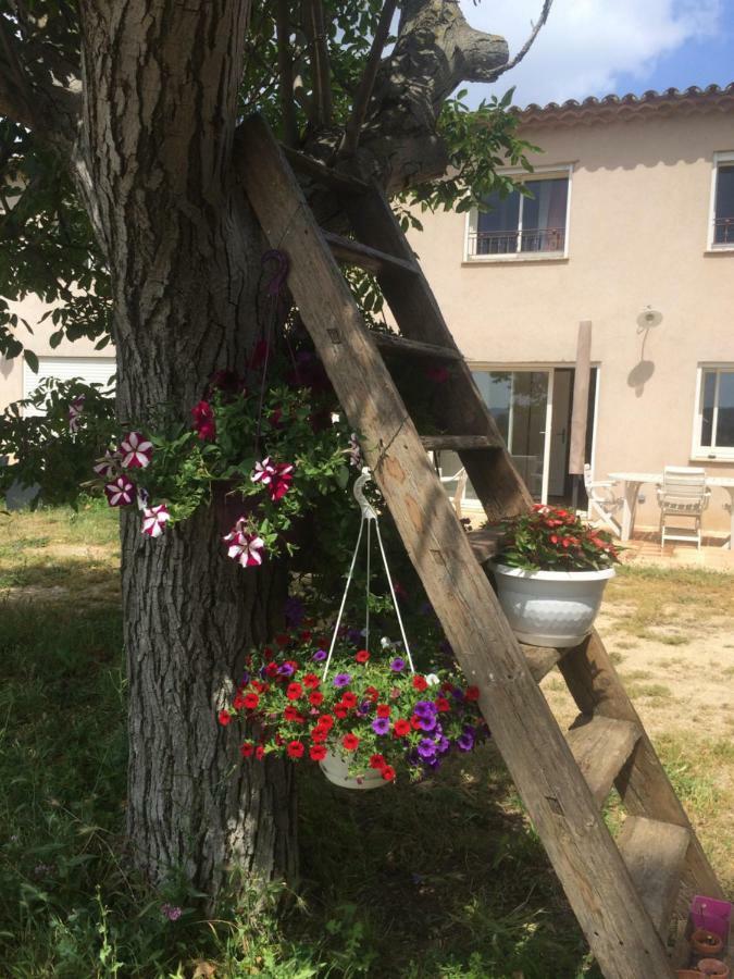 Domaine De Camp Joyeux Apartment Puget-Ville Екстериор снимка